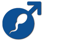 Imagem Fertilidade Masculina