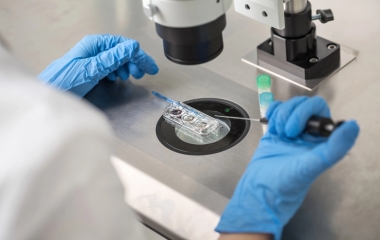 A importância do processamento seminal na inseminação intrauterina (IIU)